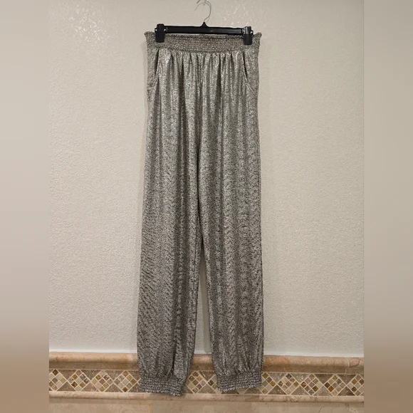 Anthropologie Metalic Silver Joggers Elastic Waist Size M - Picture 2 of 6